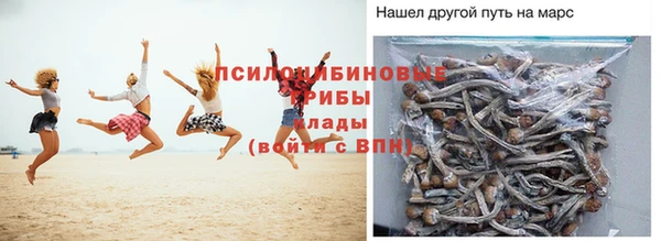 амф Нея