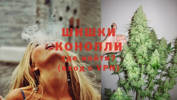 гашик Надым