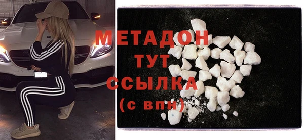 прущие грибы Чекалин