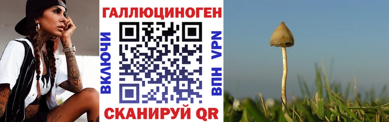 Галлюциногенные грибы MAGIC MUSHROOMS  купить закладку  гидра сайт  Фокино 